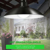 Solar Pendant Light Outdoor Waterproof LED Lamp Double-head Chandelier Decorations with Remote Control for Indoor Shed Barn Room Gizmokings Warehouse