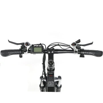 26 Inches Electric Bike 70-80km Mileage Max Load 150kg Dual Dics Brake